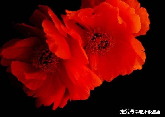 9月3号4号5号6号，财神送福，接横财，事业发展顺利，成功在即-第2张图片-太平洋在线下载