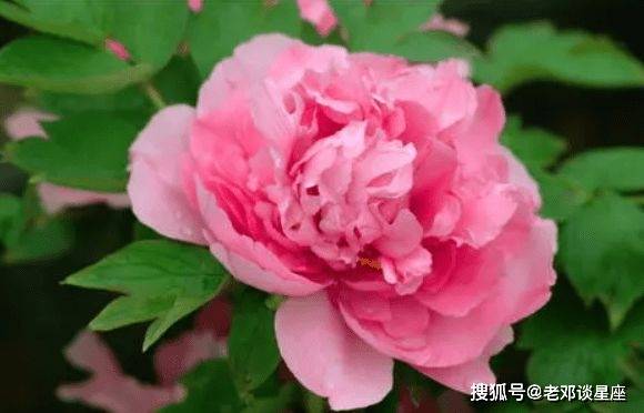 9月3号4号5号6号，财神送福，接横财，事业发展顺利，成功在即-第3张图片-太平洋在线下载