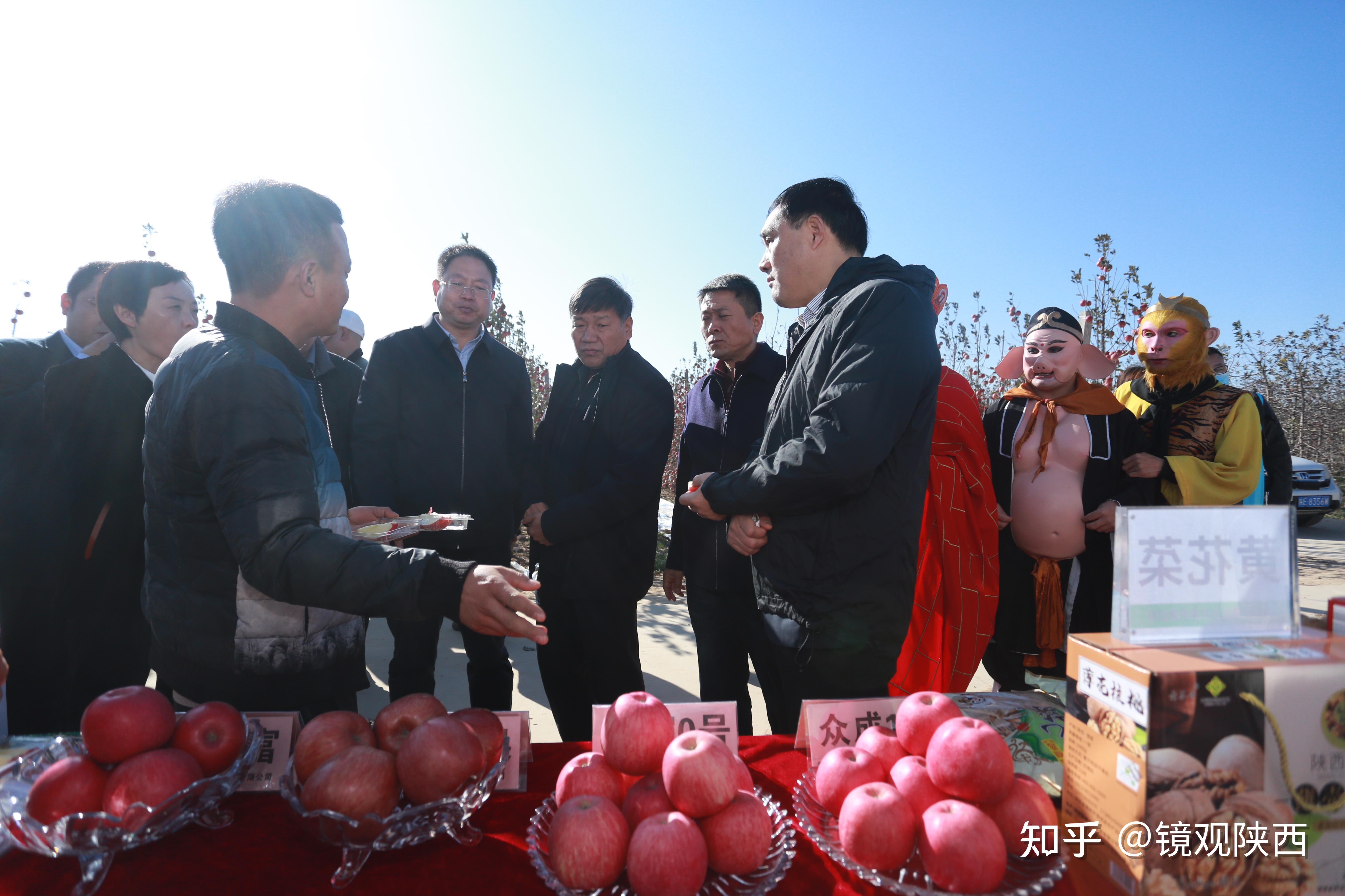 澄城苹果上市了吗最近新闻新进入苹果产业链的龙头上市公司-第1张图片-太平洋在线下载