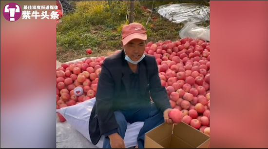 新闻卖苹果苹果公司最新消息新闻-第1张图片-太平洋在线下载