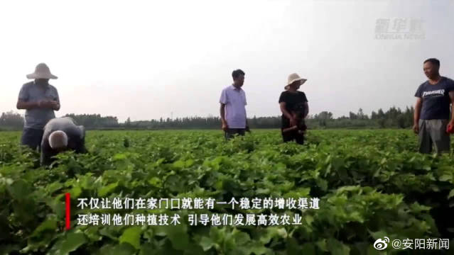 手机修复大师新闻手机恢复大师电脑版