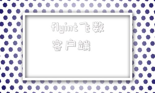 flyint飞数客户端flyingbird官网入口