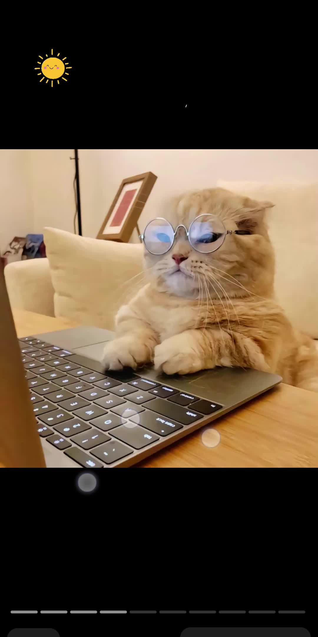 猫咪戴眼镜壁纸苹果版苹果mac原装壁纸下载