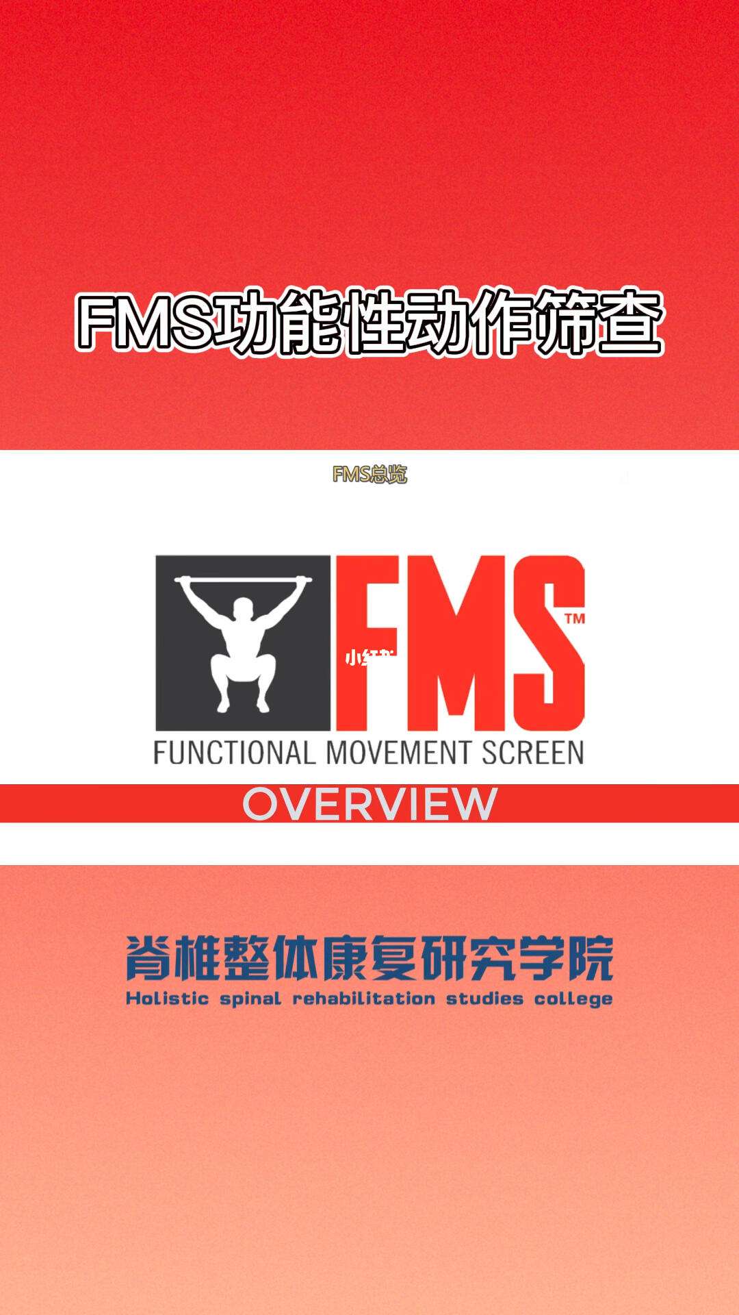 fms客户端fms锐飞软件下载