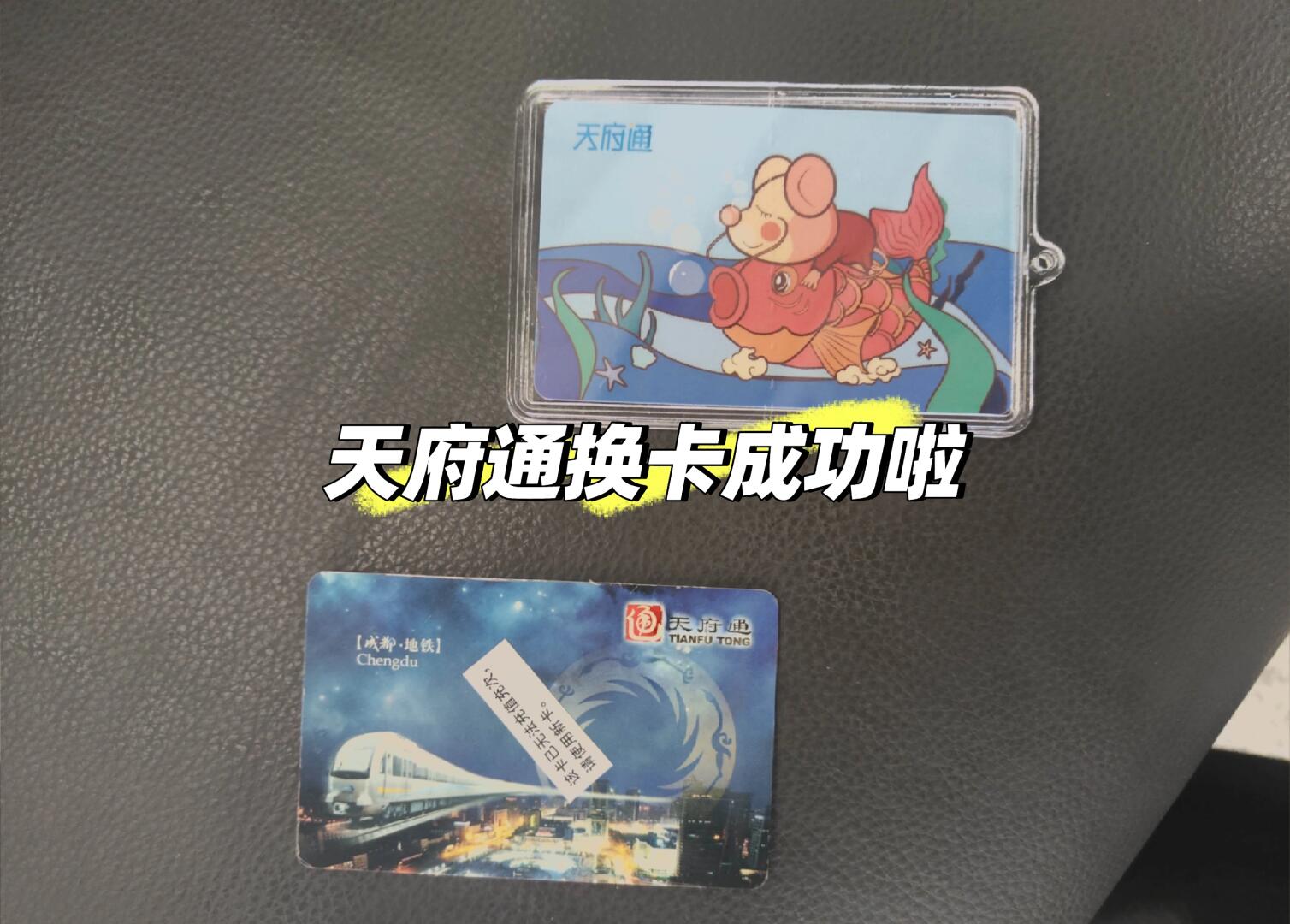 苹果版天府通天府通办官网登录入口-第2张图片-太平洋在线下载