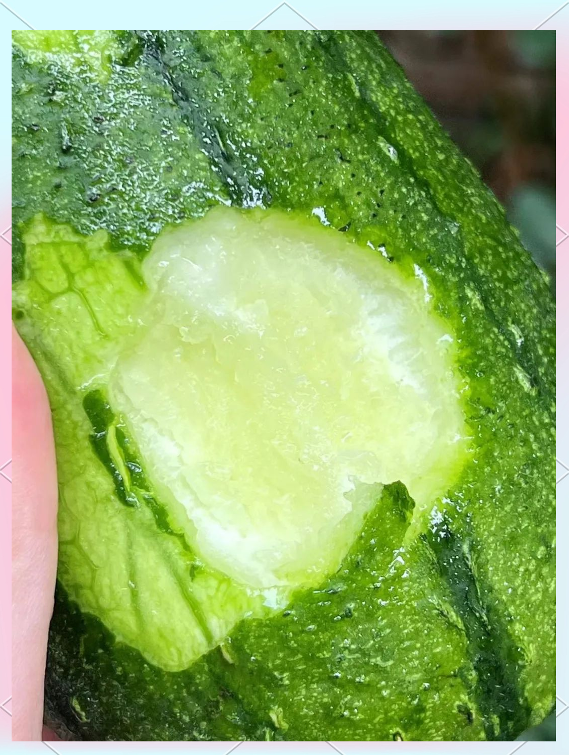 丝瓜官方版苹果破解版(丝瓜无限破解版下载ios)-第4张图片-有道翻译官网