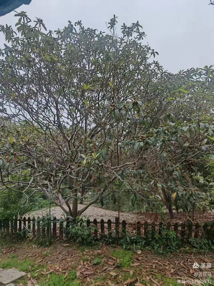 游尚改苹果版(游改尚安卓版下载)-第10张图片-WPS Office AI办公