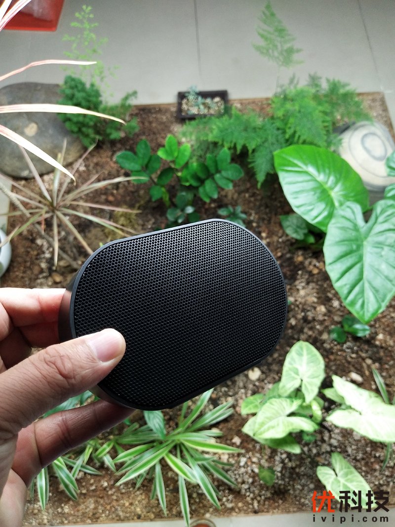 蜻蜓fm5苹果版(蜻蜓fm 下载文件在哪儿 苹果)-第3张图片-WPS Office AI办公